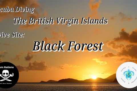 Scuba Diving The British Virgin Islands, Black Forest