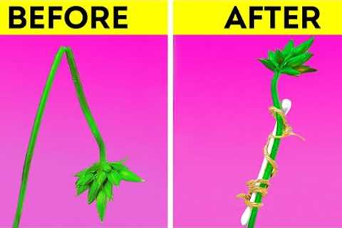 Genius Gardening Tips And Simple Plant Growing Hacks