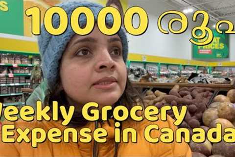 Weekly Grocery Shopping in Ontario Canada | Kitchener Shopping Experience | Canada Malayalam Vlog
