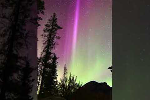 Scientists Have No Idea What This Mystery Light Is &amp; Said It's Unknown To Science #shorts