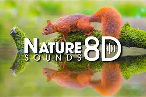 Relax your mind, reduce nervous disorders, relieve stress with 8D Nature Sounds and Piano Music