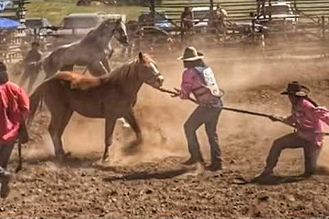 Bobby Begay | Memorial Wild Horse Race 2022🏇