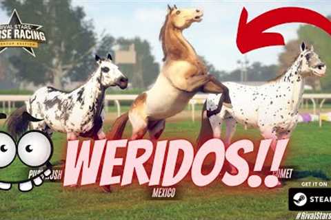 Breeding my WERIDEST horses... Rival Stars Horse Racing