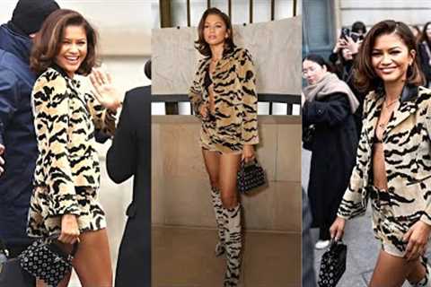 Zendaya Arrived At The Louis Vuitton Show At During Paris Fashion Week