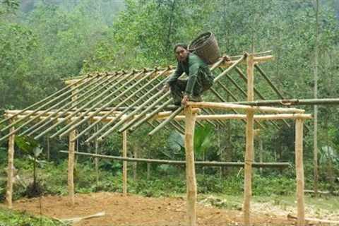 move to new land, build survival shelter, survival alone