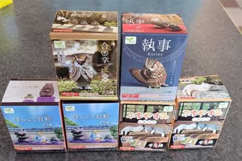 Unboxing $5 Japanese Blind Boxes from Oomomo