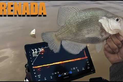Grenada Lake Crappie ( BEST MONTH OF THE YEAR )