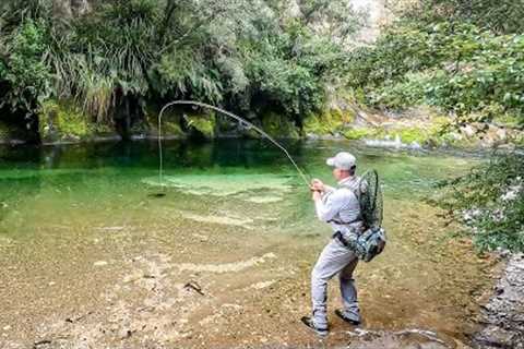 3-Day Fly Fishing Adventure: Sight Fishing for Big Trout in NZ's Backcountry