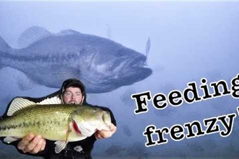 Ice Fishing Bass CRAZY UNDERWATER Footage!