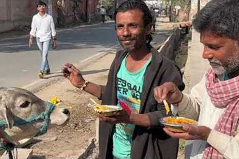 I'm shocked! He eats with a cow from the same plate!