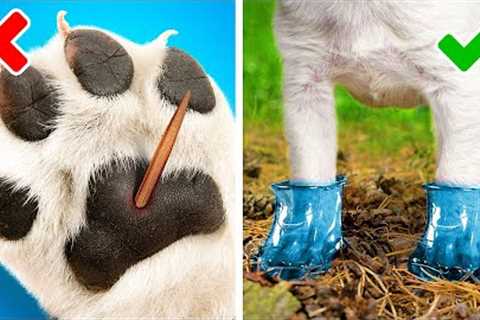 AWESOME HACKS FOR PET OWNERS || Cute DIYs, Fun Toys and Useful Gadgets