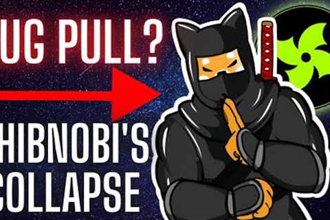 SHOCKING conversation! Did the Shibnobi Dev pull the rug on the project? (Community Reaction)
