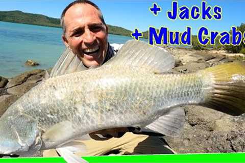 2 Day Mothership - Rock Fishing - Epic fish action - Mud Crabs - Catch &amp; Cook - Day 1 - EP.581