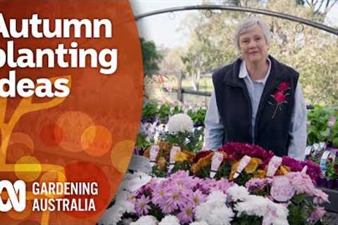 Autumn planting ideas to bring out your garden's colour | Garden Inspiration | Gardening Australia