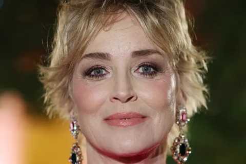 Sharon Stone Was Hospitalized for Heart Issues After Losing Custody of Son