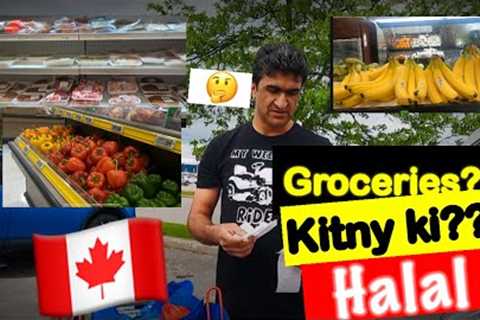 Grocery shopping in Canada|| weekly Expenses| Halal food.🇨🇦🇨🇦
