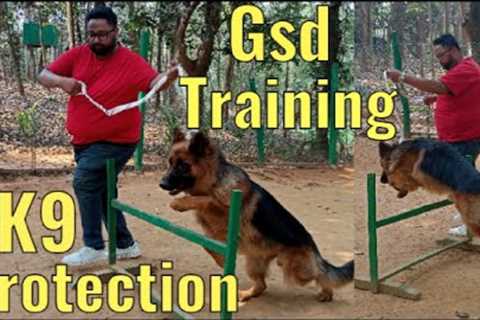 German Shepherd training | How to train a dog|Dog training|Puppy training|German shepherd protecting