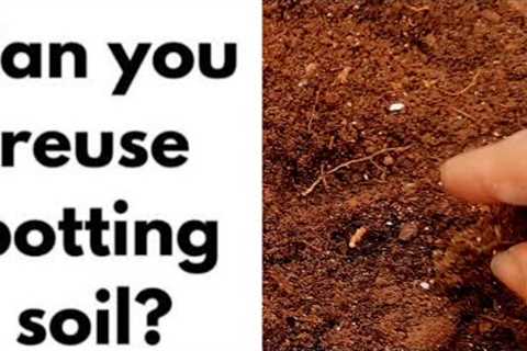 How to reuse old potting soil|Explore your hobbies!!!