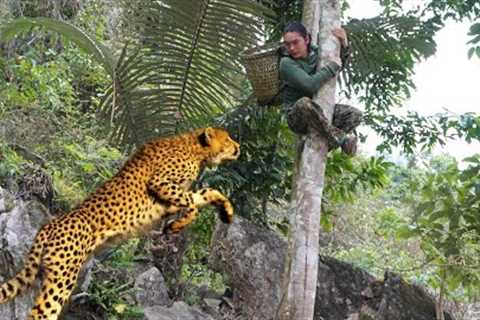 spot wild animals, build farm, survival lone