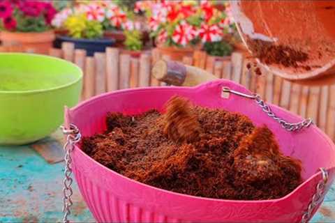 Best light weight potting soil mix for hanging baskets|Explore your hobbies!!