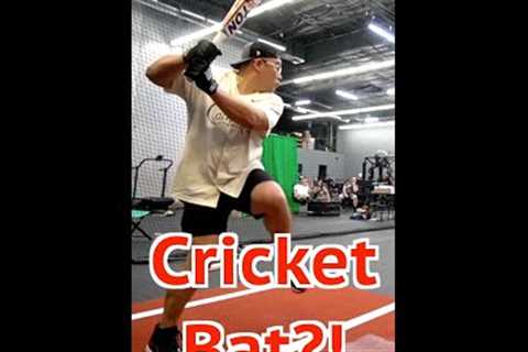 Can a Baseball Player Hit a Home Run With a Cricket Bat?