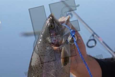 Beginner trout fishing