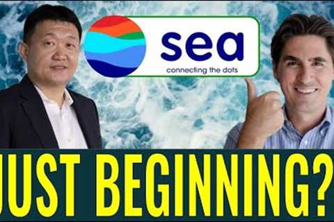 SEA LIMITED (SE STOCK): I OWN IT. JUST THE BEGINNING?