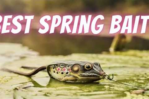 Is Frog Fishing The Best Spring Technique This Year? Lake Fork Bass Fishing Seminar: Frog Tips