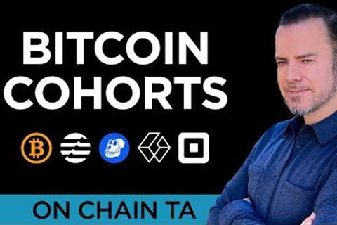 Bitcoin Cohort Breakdown: Who's Buying &amp; Selling