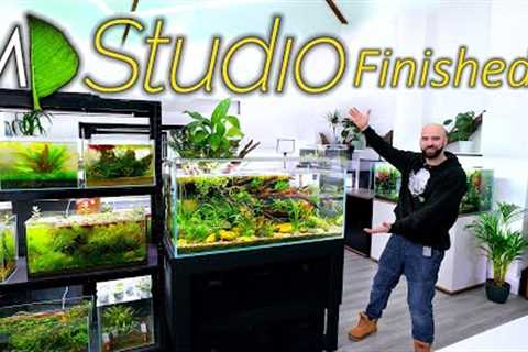MD Studio Build: FINISHED!! (Full Tour)