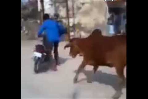 New bike Accident Funny video | 2023 funny video #funny #trending #viral