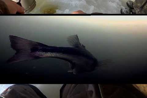 Underwater Camera for Ice Fishing on a Pond (Big Fish Spotted)