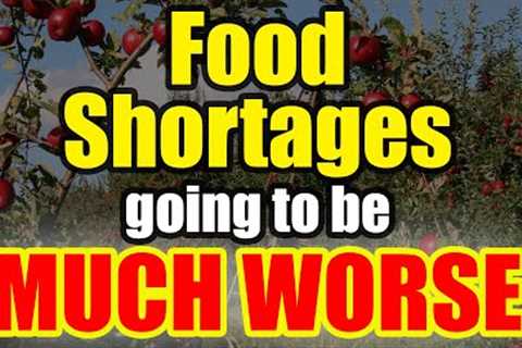 Act NOW – Food Shortages about to get MUCH WORSE – Be READY!