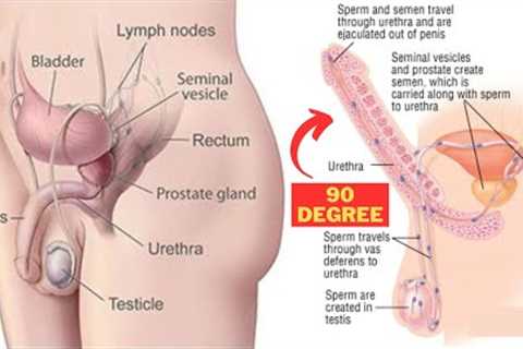 4 Exercises That Will Improve Your Pelvic Floor Strength
