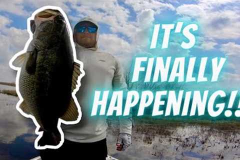 Lake Fork Spring Bass Fishing: Best Spawn Fishing Ever? It's Happening!!!