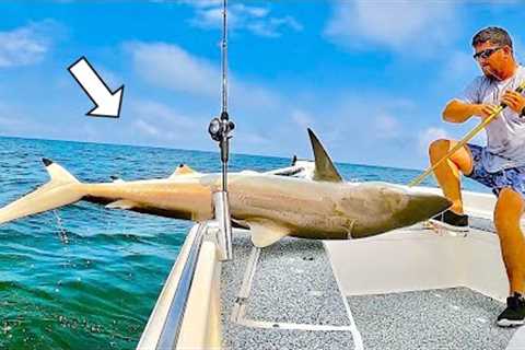 Fishing SOLO in the GULF When I Caught THIS... [SHARK Catch, Clean, and Cook]