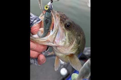 Table Rock Lake Video Fishing Report Mar 6, 2023 short