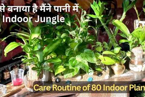 Living Room Garden| Gardening | Water Plant Care Routine | Indoor Plants | Gardening Ideas For Homes
