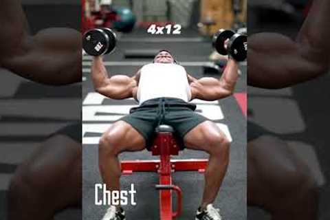CHEST WORKOUT | Grow A Bigger Chest With These 4 Movements 🔥