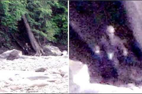 This Woman Looked Through Her Camera But Couldn't Explain What It Had Captured In These Woods