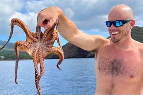 Fried Octopus Nuggets - Catch n' Cook a Seafood Feast!!