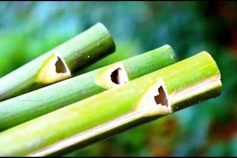 How to make a Flute or Swanee Slide Whistle out of Bamboo - Sensory Learning 4 Life