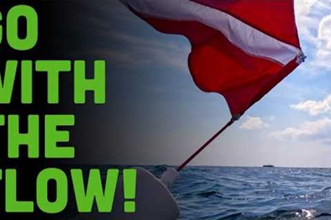 Catch My Drift! 5 Tips For Safe, Happy Drift Dives