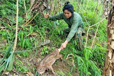 Survival skills, wild boar trap skills and survival in wild forests, survival skills