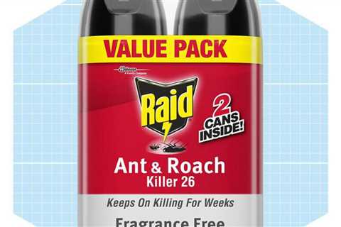 7 Best Apartment Roach Killers