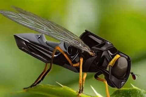 Nano Drone Technology Robotic Micro Spying  Unbelievable Drone