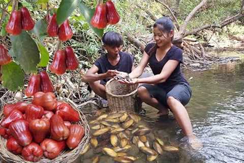 Adventure in forest: Rose apple &amp; Shells for food - Cooking shells spicy, Eating delicious in..