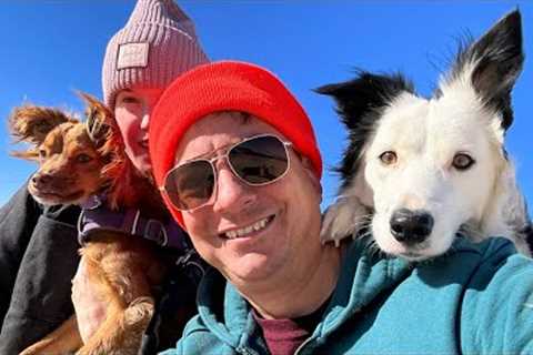 WARNING: You are being misled by dog trainers on the Internet