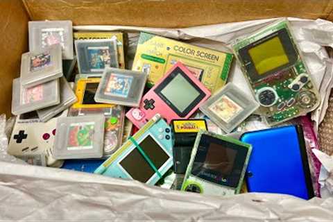 I bought a box of GameBoys!