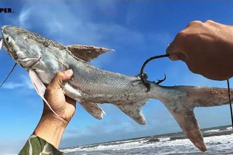 Using a HUGE Catfish For Bait? What Monster Will Eat This??